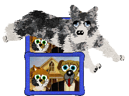 Come Bye's Find Your Way — “Padfoot”