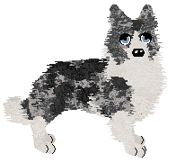 Come Bye's Find Your Way — “Padfoot”