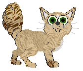 Wild Road's Build Like An Battle-Ax — “Kylynn”