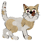 NSP's Did Your Boots Stop Working at Wild Road — “Luella”