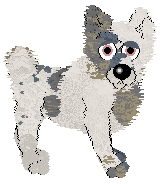 Pinto's A Shining Example at Wild Road — “Kalyndra”