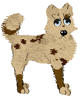 Profile image of Wild Road's Chouke