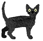 Profile image of Starling Karma in Lace