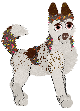 FH's Loco For Coco at Wild Road — “Loca Cola”