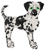 Poppyhill's Mint Condition — “Spearmint”