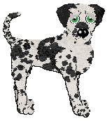 Profile image of Poppyhill's Mint Condition