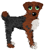 Charmme's Show Stopper at Vanilla — “Cassidy”