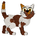 TTE's Raise The Temperature at Vanilla — “Mercury”