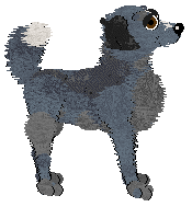 Wild Road's Lead The Way at Vanilla — “Guidance”