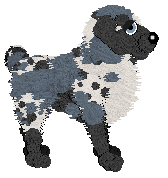 Ferality's Count the Stars — “Celeste”