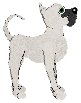 Profile image of Tangle's Wealth Guardian