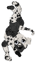 Ferality's Counting Cards — “Ace”