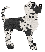 Ferality's Counting Cards — “Ace”