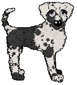 Profile image of Ferality's Counting Cards