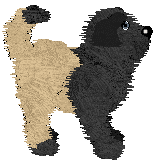 Noir/Tangled's Playtime in the Surf — “Shore”