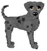 Sz's Piper nigrum — “Peppercorns”