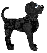 Ferality's Darkest Knight — “Bruce”