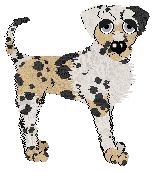 Ferality's Champagne Problems at APK — “Champ”