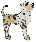 Ferality's Champagne Problems at APK — “Champ”