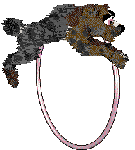 Ferality's Ex Factor at Cirrutopia — “Bubbles”