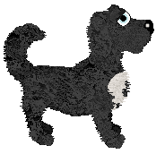 Dahlia/King's Morning Breakdown — “Sea Bass”