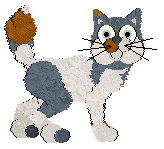 Profile image of Tea/King's Citrus Skin