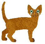 Profile image of Starling Screaming Colour