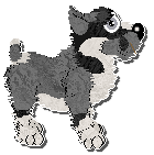 Profile image of Poppyhill's La Corsa dei Ceri at Perfume