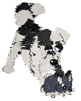 Cirrutopia’s Black Diamond — “Anthracite”