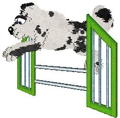 Cirrutopia’s Black Diamond — “Anthracite”