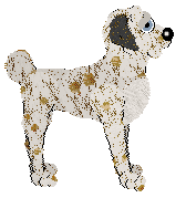 Ferality's Good Soup at APK — “Miso”