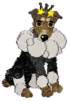 Dh's Desert Memories — “Hawk”