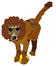 Dh's Desert Memories — “Hawk”