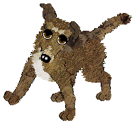 Dh's Desert Memories — “Hawk”