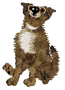 Dh's Desert Memories — “Hawk”