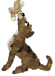 Dh's Desert Memories — “Hawk”