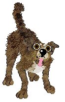 Dh's Desert Memories — “Hawk”