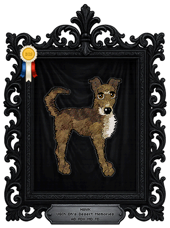 Profile image of Dh's Desert Memories