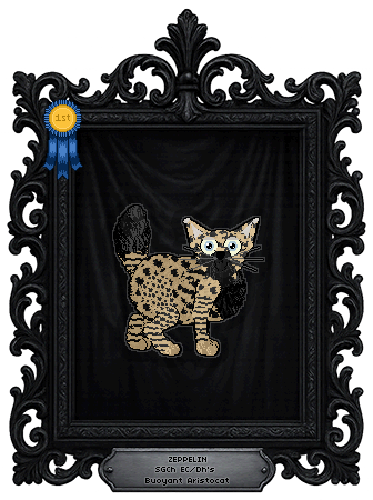 Profile image of EC/Dh's Buoyant Aristocat