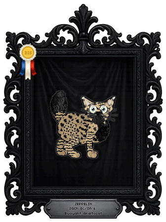 Profile image of EC/Dh's Buoyant Aristocat