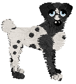 Wild Road's Jönköpings län — “Nassjo”