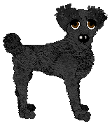 Wild Road's Tyrrendor — “Tirvainne”