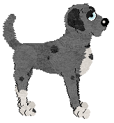 Wild Road's Gotlands län — “Visby”