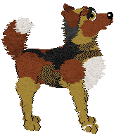 Wild Road's Pastor Luporum — “Ruedi”