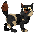 Wild Road's From The North — “Narelle”