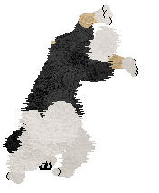 Crystal Rose's Fond Memories at Come Bye — “June”