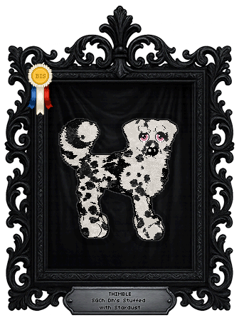 Profile image of Dh's Stuffed with Stardust