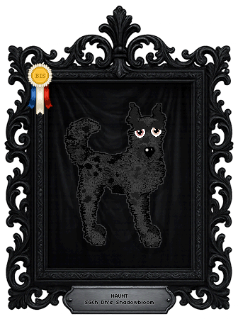 Profile image of Dh's Shadowbloom