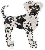 Toto/Dh's Petals and Ash — “Marigold”