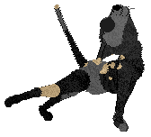 Dh's Ashes in Her Wake — “Ember”